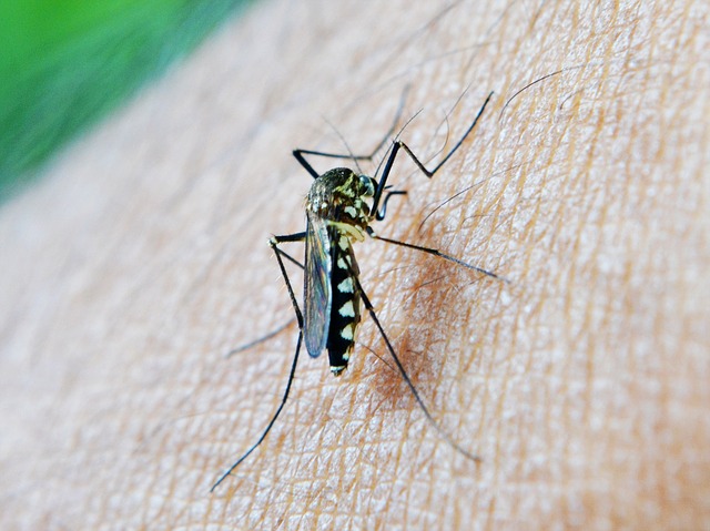 Alabama Mosquito Control
