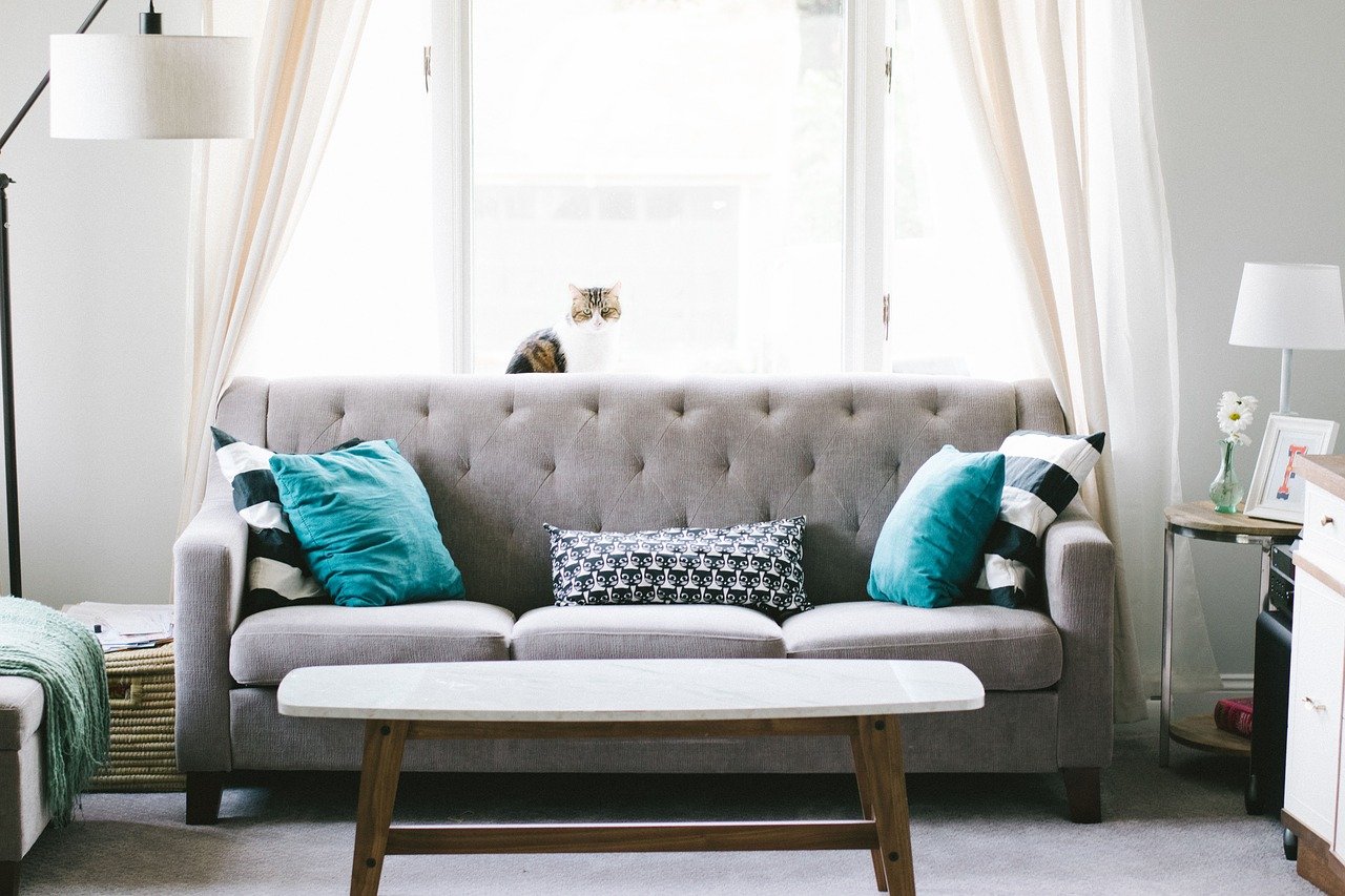 How To Keep Second Hand Furniture Pest Free
