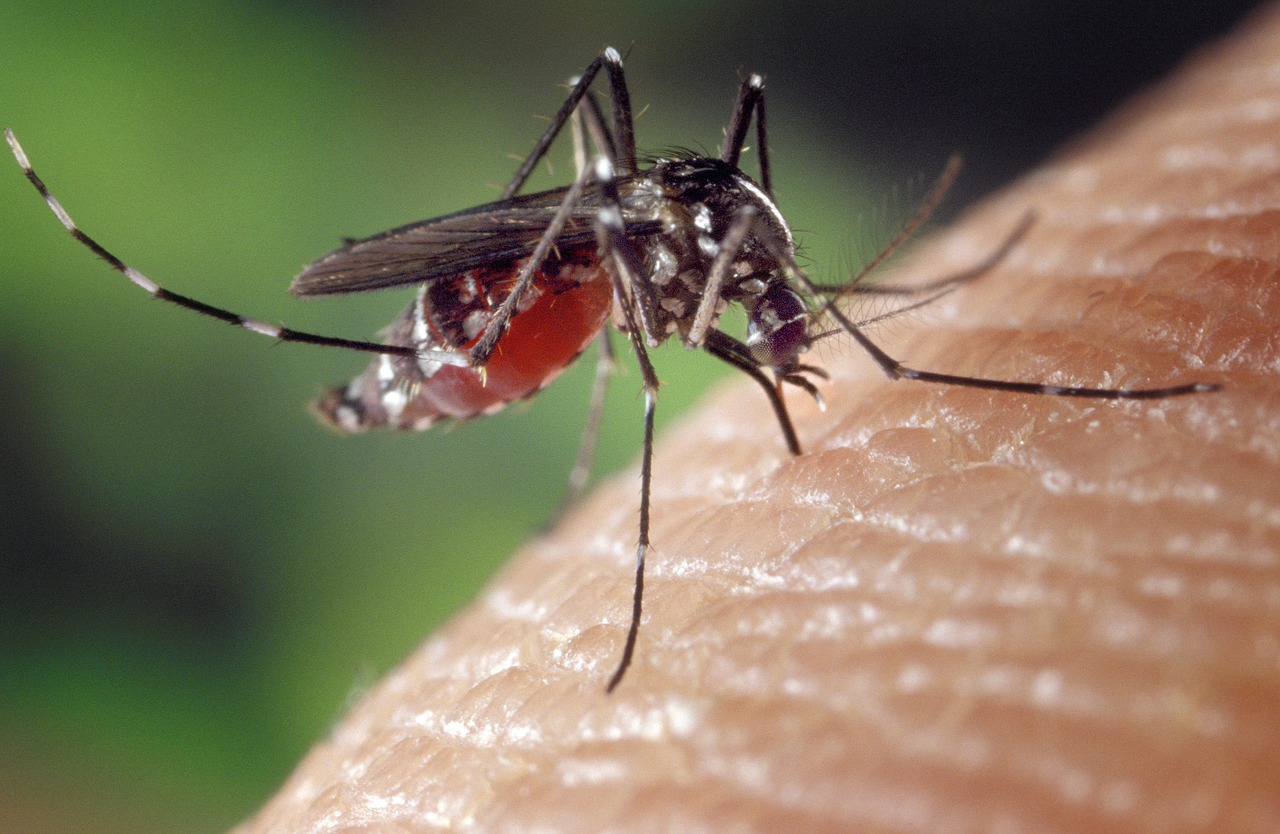 5 Odd Hacks That Could Help Reduce Mosquito Bites This Summer